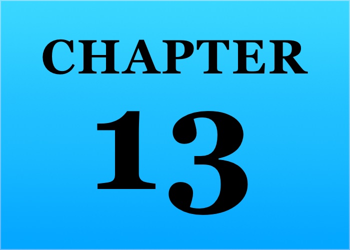 Key Elements Chapter 13 bankruptcy plan
