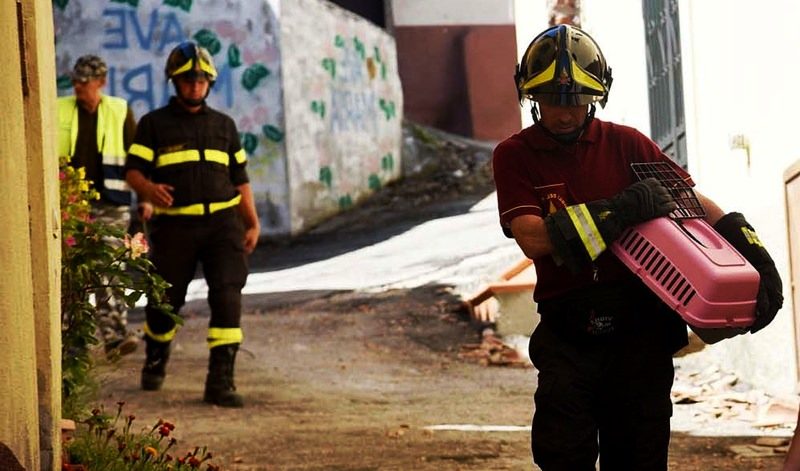 Fireman carrying pets during earthquake